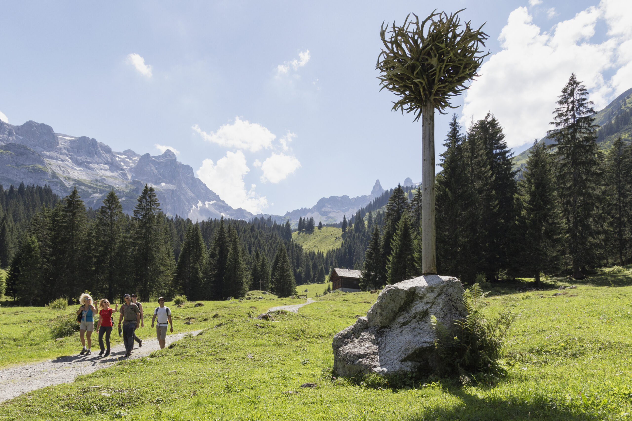 Der Geweihbaum - Gauertaler AlpkulTour (c) Andreas Haller - Montafon Tourismus GmbH, Schruns